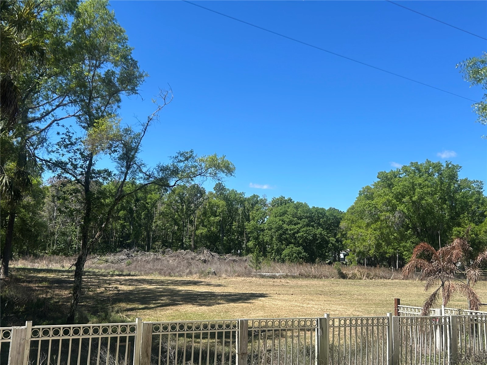 1565 Creek Road Wesley Chapel FL 33543 TB8489153 image2