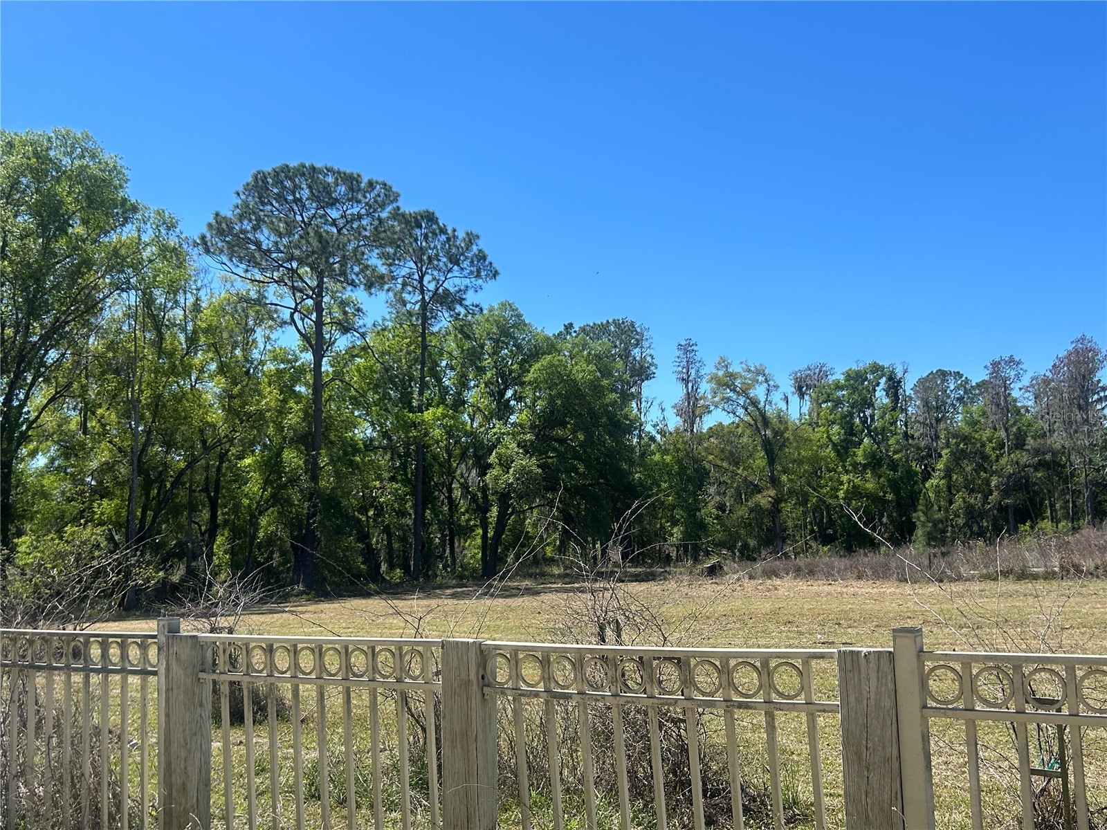 1565 Creek Road Wesley Chapel FL 33543 TB8489153 image4