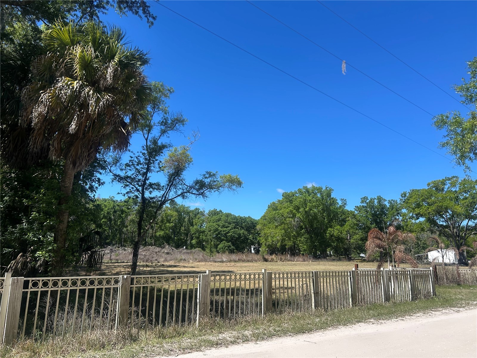 1565 Creek Road Wesley Chapel FL 33543 TB8489153 image5
