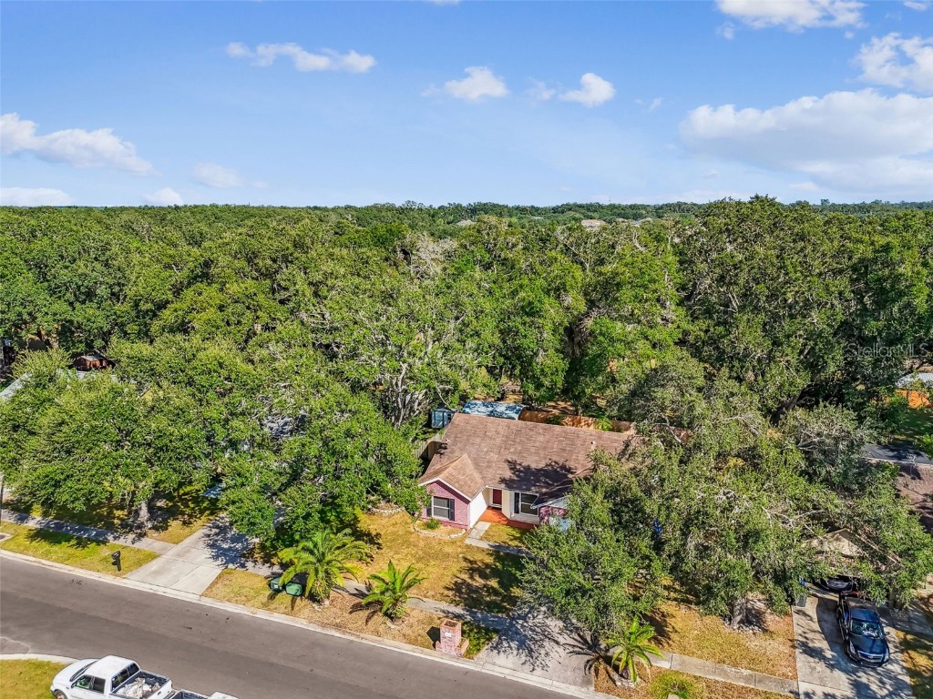 1565 Long Pond Drive Valrico FL 33594 TB8444543 image46