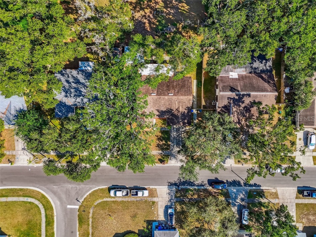 1565 Long Pond Drive Valrico FL 33594 TB8444543 image47