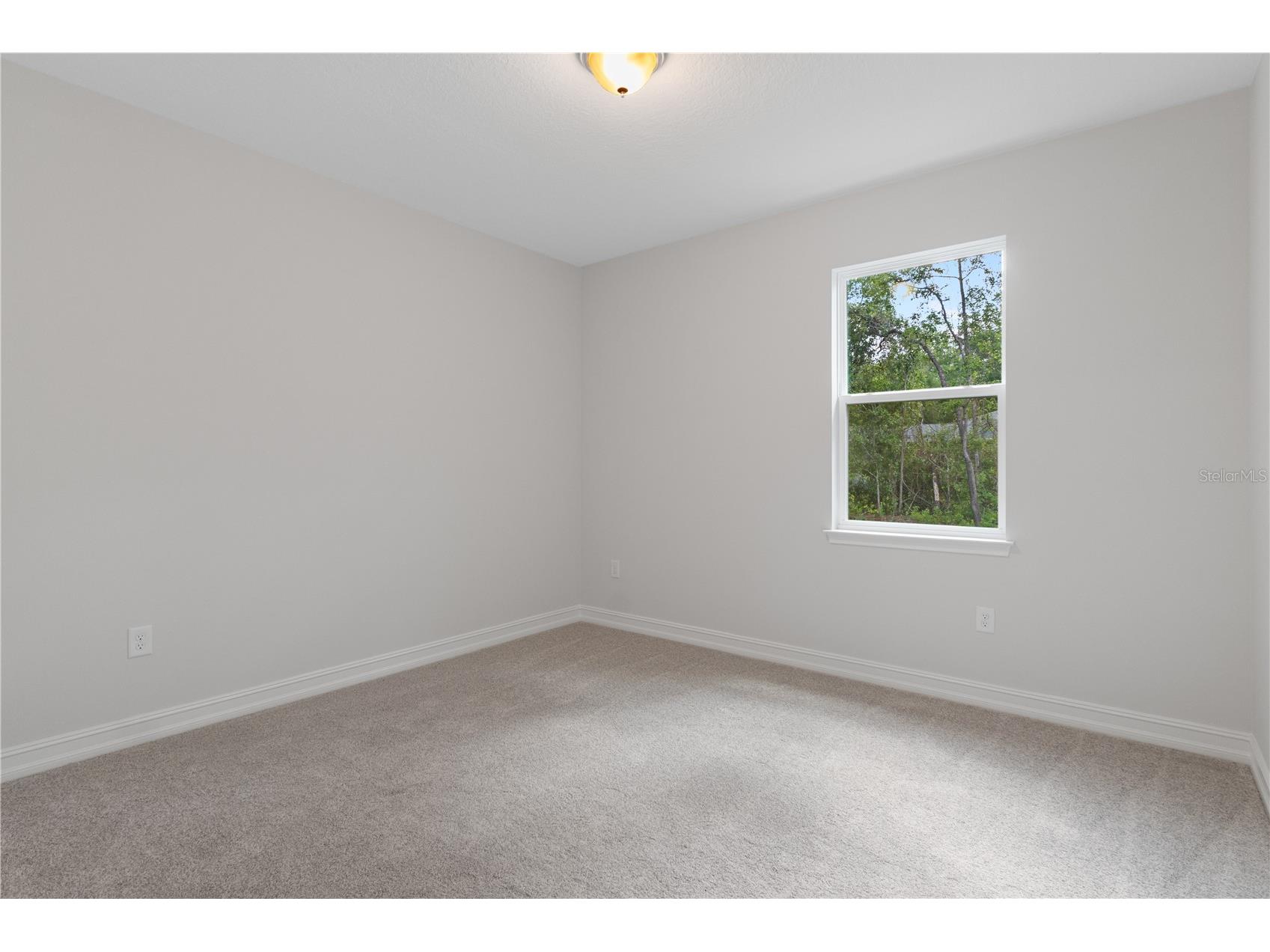 1565 W Pearson Street Hernando FL 34442 W7882969 image36