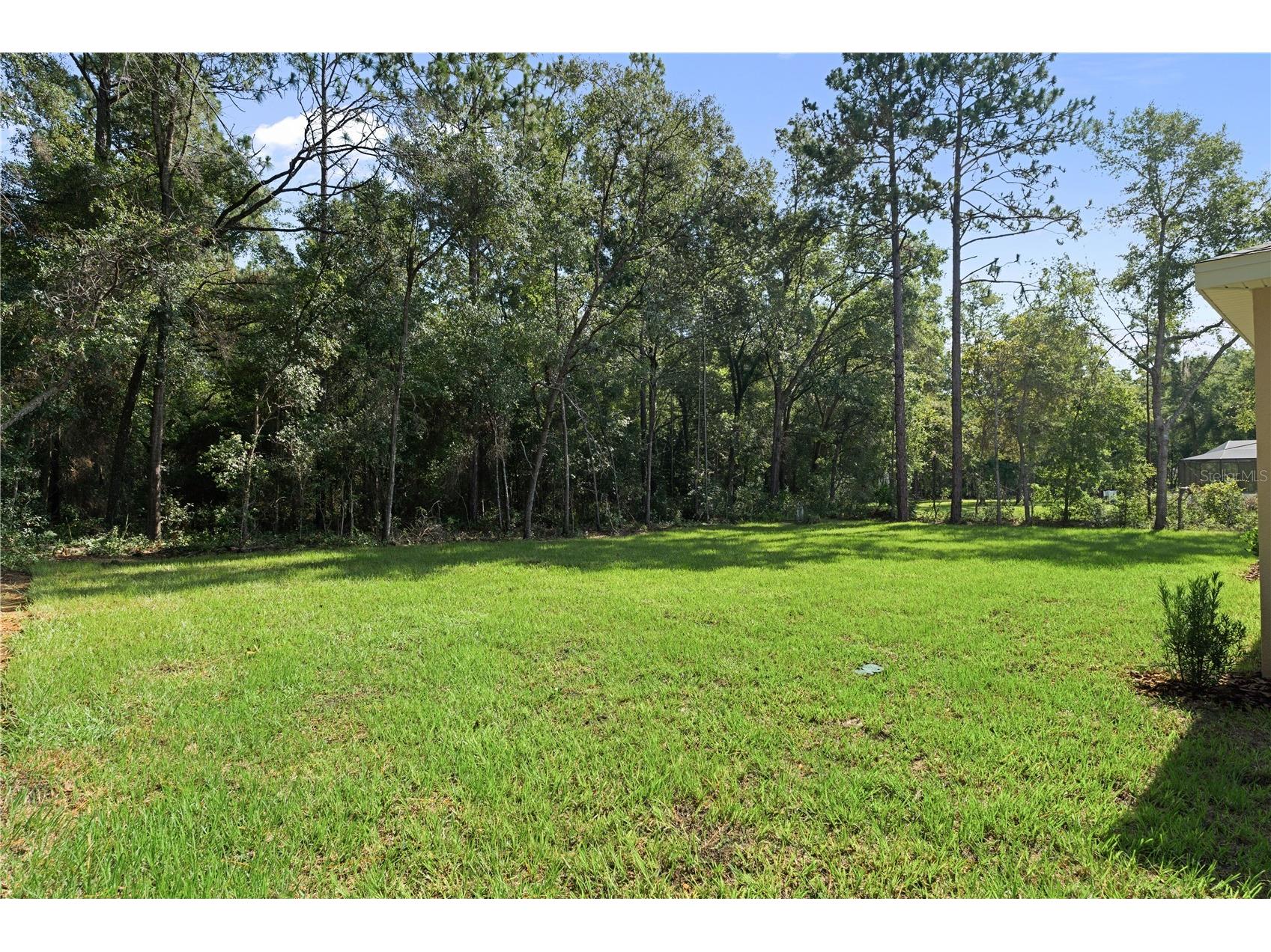 1565 W Pearson Street Hernando FL 34442 W7882969 image43