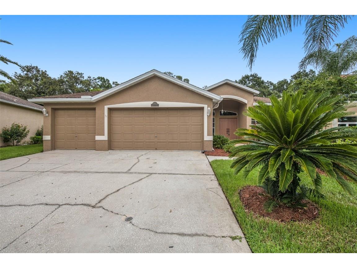 15651 Eastbourn Drive Odessa FL 33556 O6056209 image1