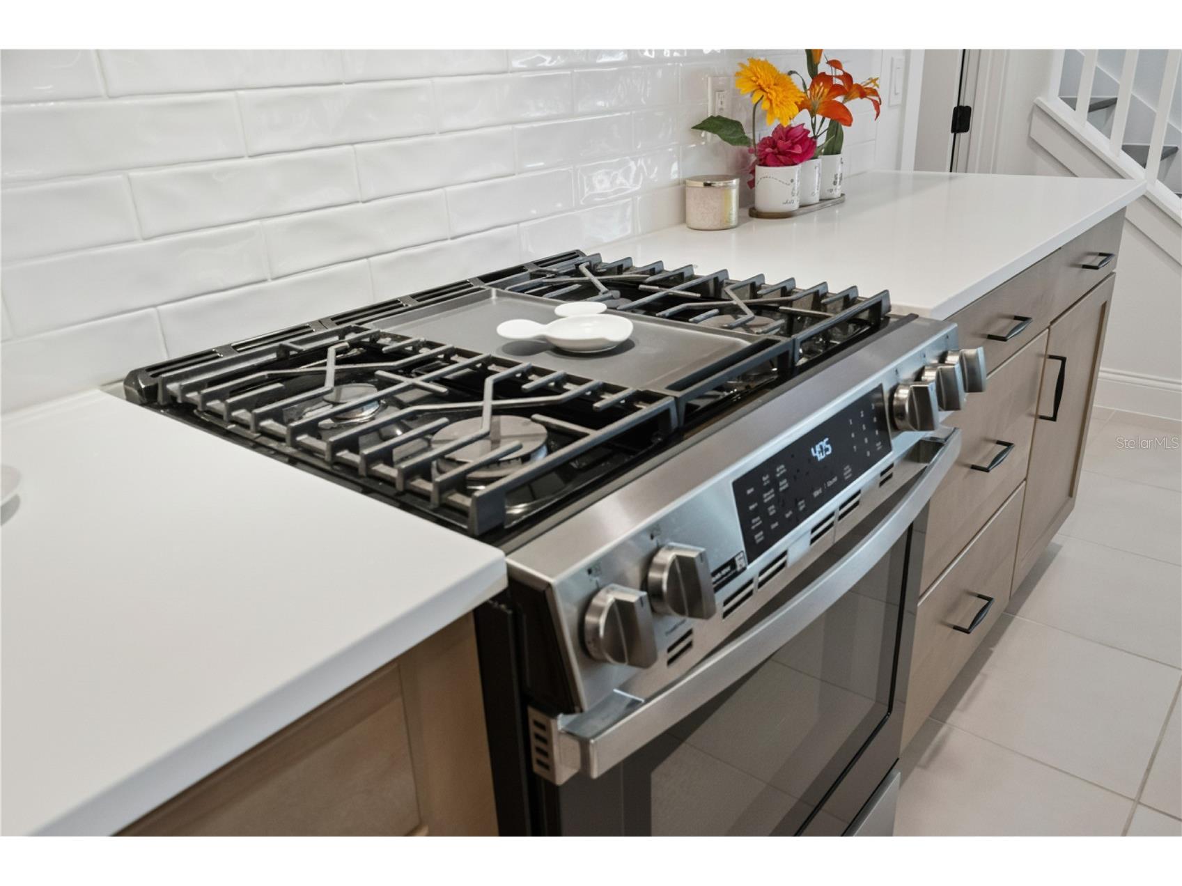 15652 Gentle Rain Drive Winter Garden FL 34787 O6412120 image15