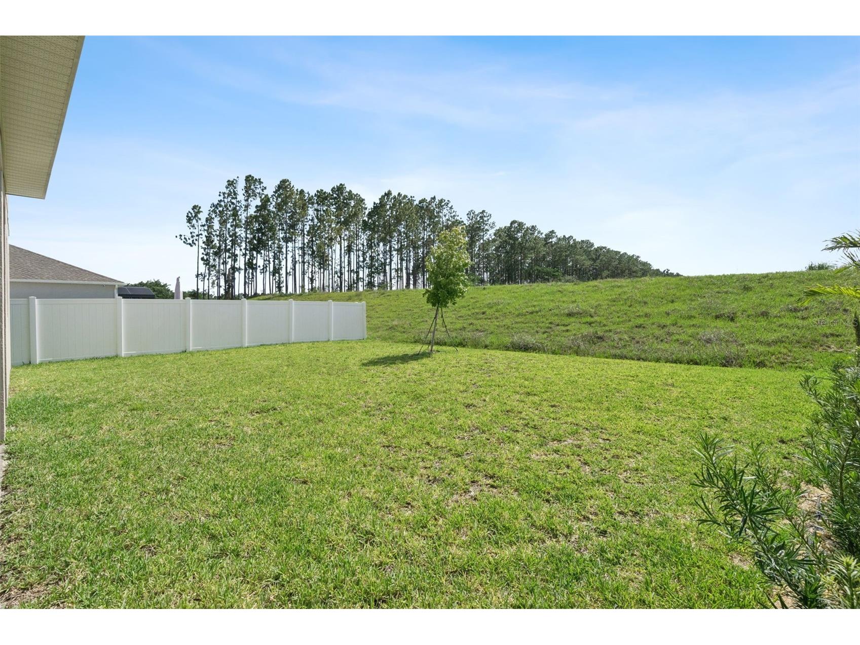 15652 Gentle Rain Drive Winter Garden FL 34787 O6412120 image49