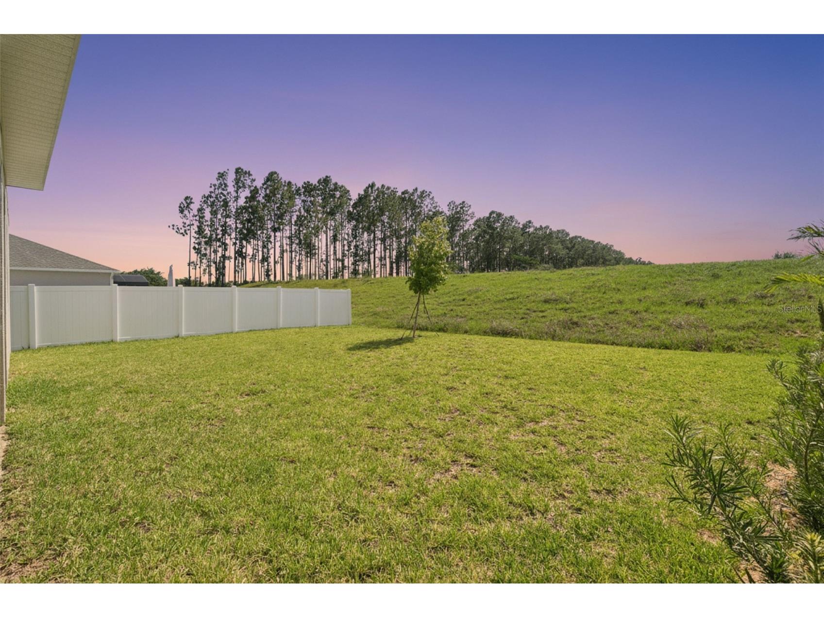 15652 Gentle Rain Drive Winter Garden FL 34787 O6412120 image50