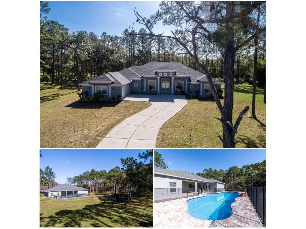 15654 Phillips Road Odessa FL 33556 OM649153 image1