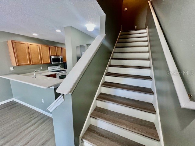 15655 Stable Run Drive Spring Hill FL 34610 W7885661 image23