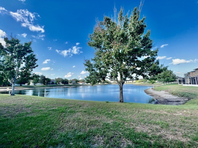 15655 Stable Run Drive Spring Hill FL 34610 W7885661 image44