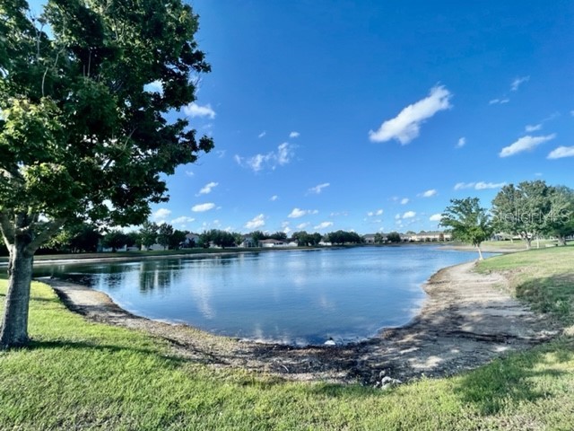 15655 Stable Run Drive Spring Hill FL 34610 W7885661 image45