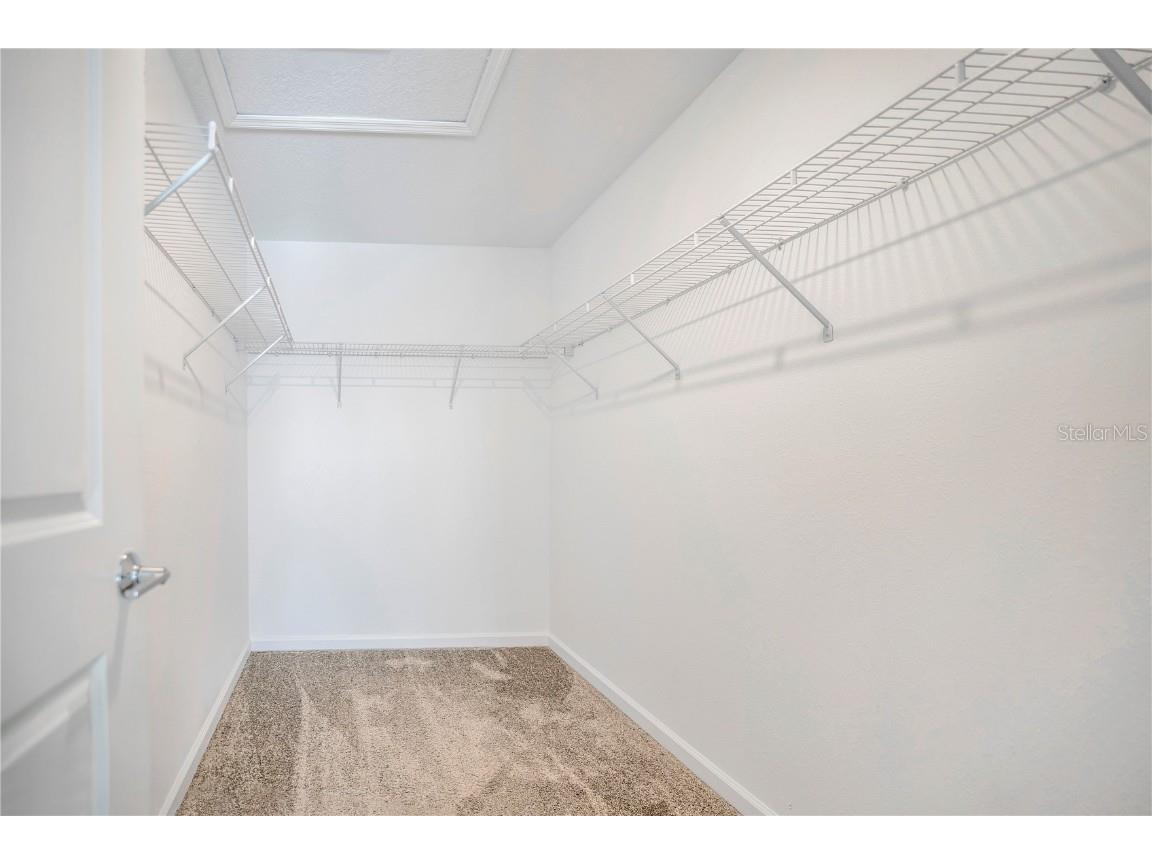 15657 Water Spring Boulevard Winter Garden FL 34787 O6363730 image17