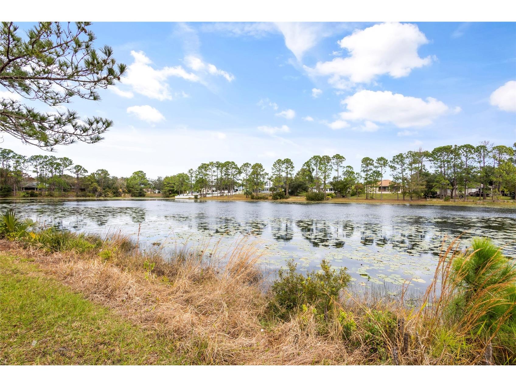 1566 Findlay Street Deltona FL 32725 - TIVOLI LAKE V4946344 image26
