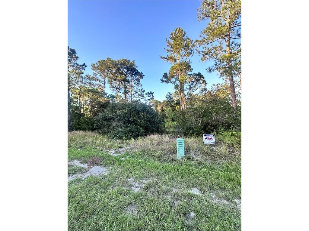 1566 Marlin Drive Kissimmee FL 34759 O6347745 image3