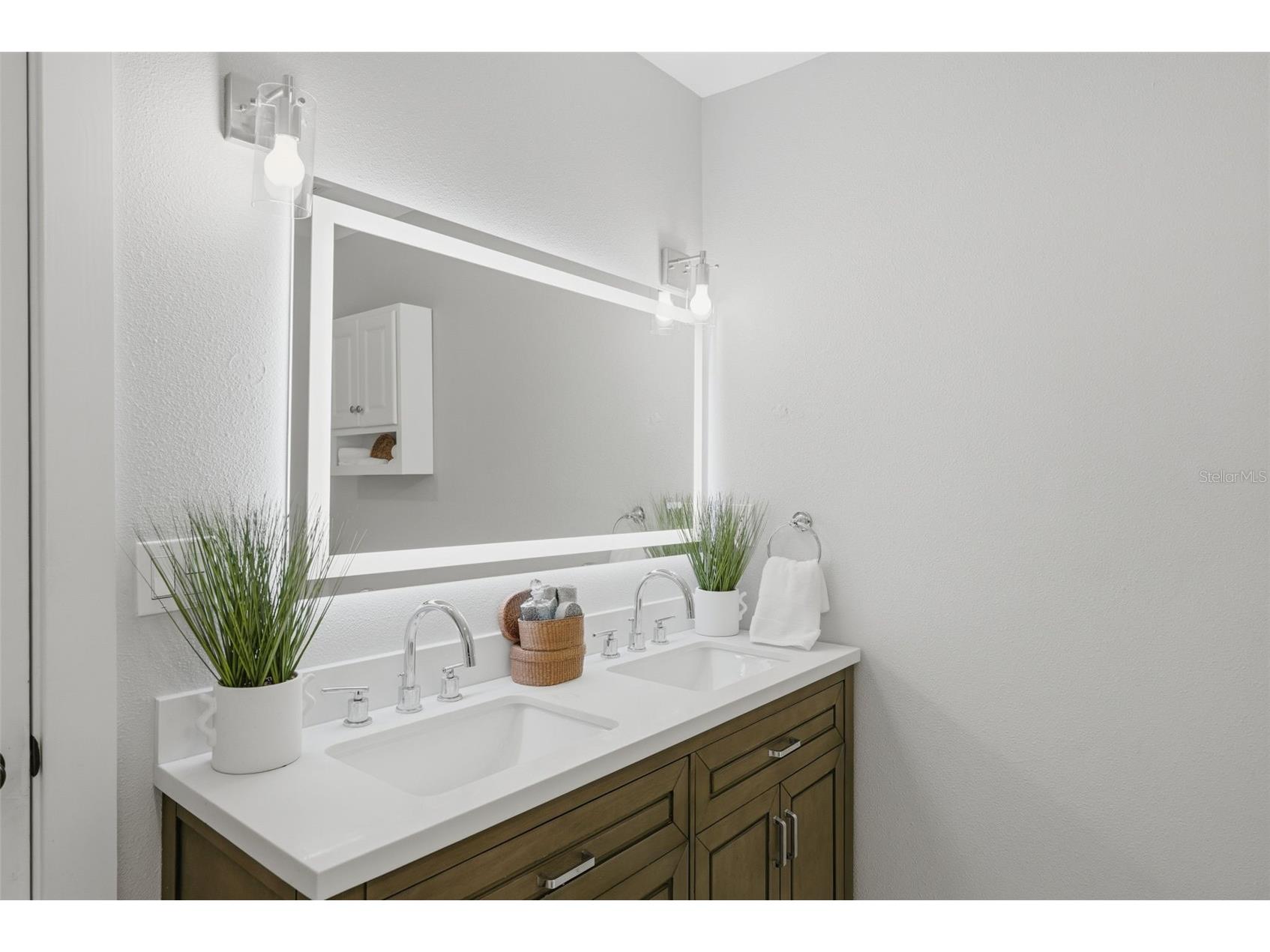 1566 Woodfield Court Lutz FL 33558 TB8498721 image21