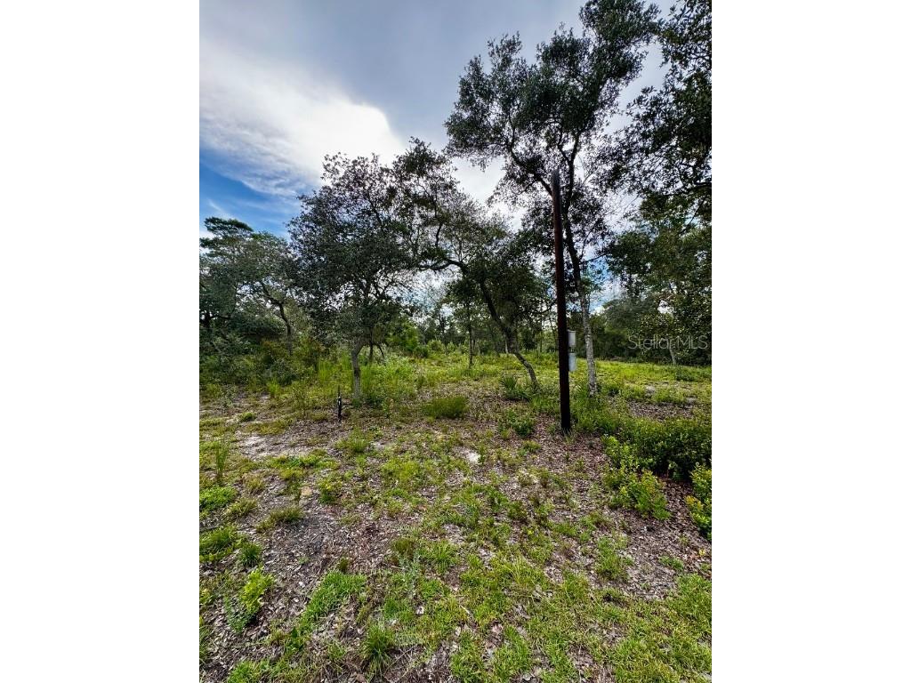 15668 NE 238th Street Fort Mc Coy FL 32134 OM708094 image29