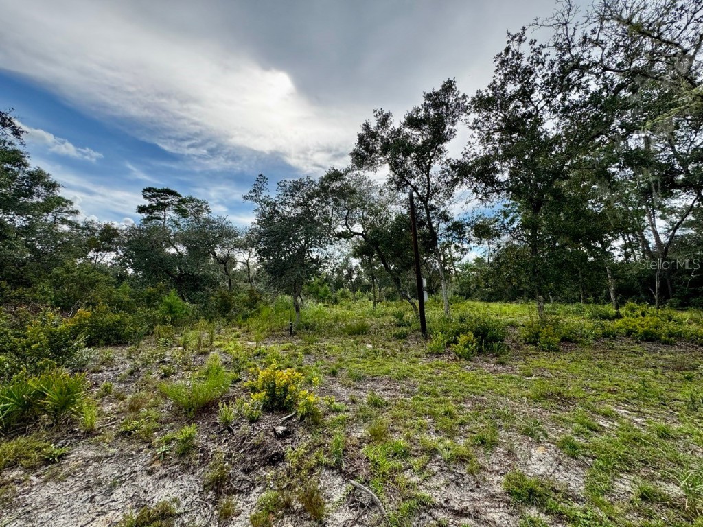 15668 NE 238th Street Fort Mc Coy FL 32134 OM708094 image30