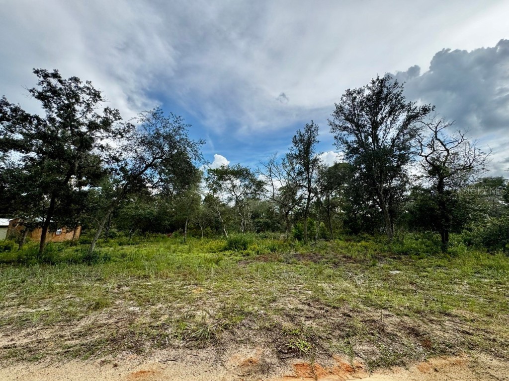 15668 NE 238th Street Fort Mc Coy FL 32134 OM708094 image31