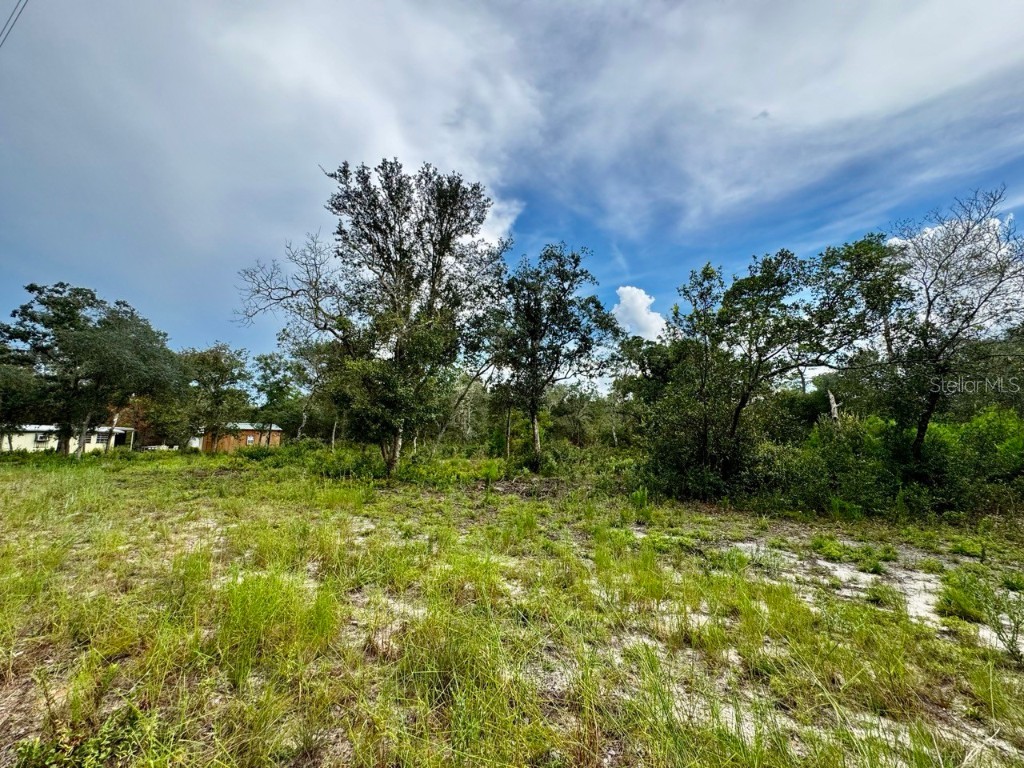 15668 NE 238th Street Fort Mc Coy FL 32134 OM708094 image32