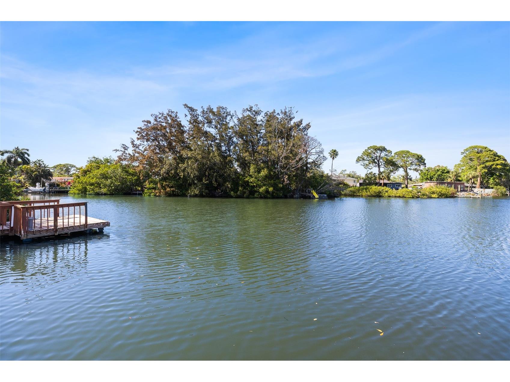 1567 Delaware Avenue NE Saint Petersburg FL 33703 - BUTTERFLY LAKE TB8489594 image50