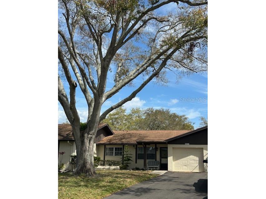 1567 Patton Drive Dunedin FL 34698 TB8361244 image1