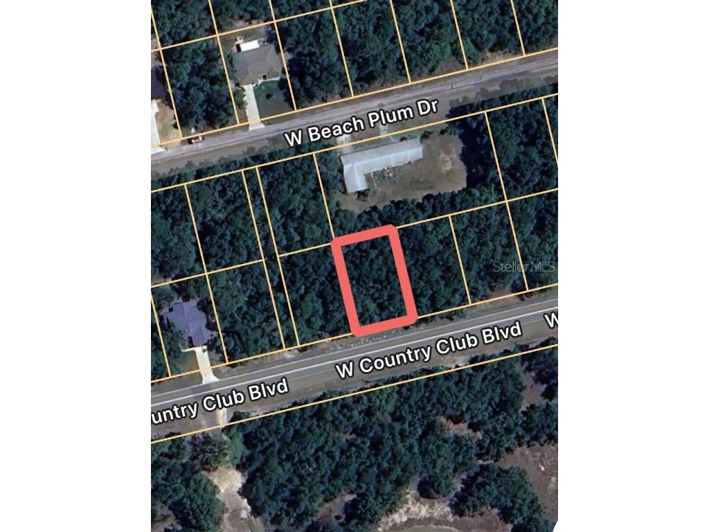 1567 W Country Club Boulevard Citrus Springs FL 34434 OM702937 image1