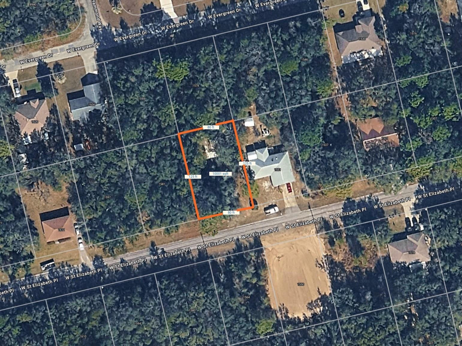 1567 W Saint Elizabeth Place Citrus Springs FL 34434 D6147298 image1