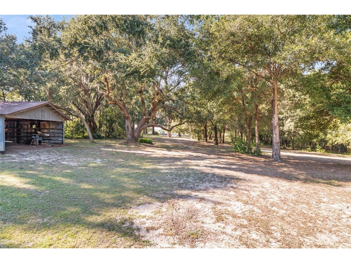 15670 S Highway 25 Weirsdale FL 32195 - LAKE WEIR NEARBY OM714072 image70