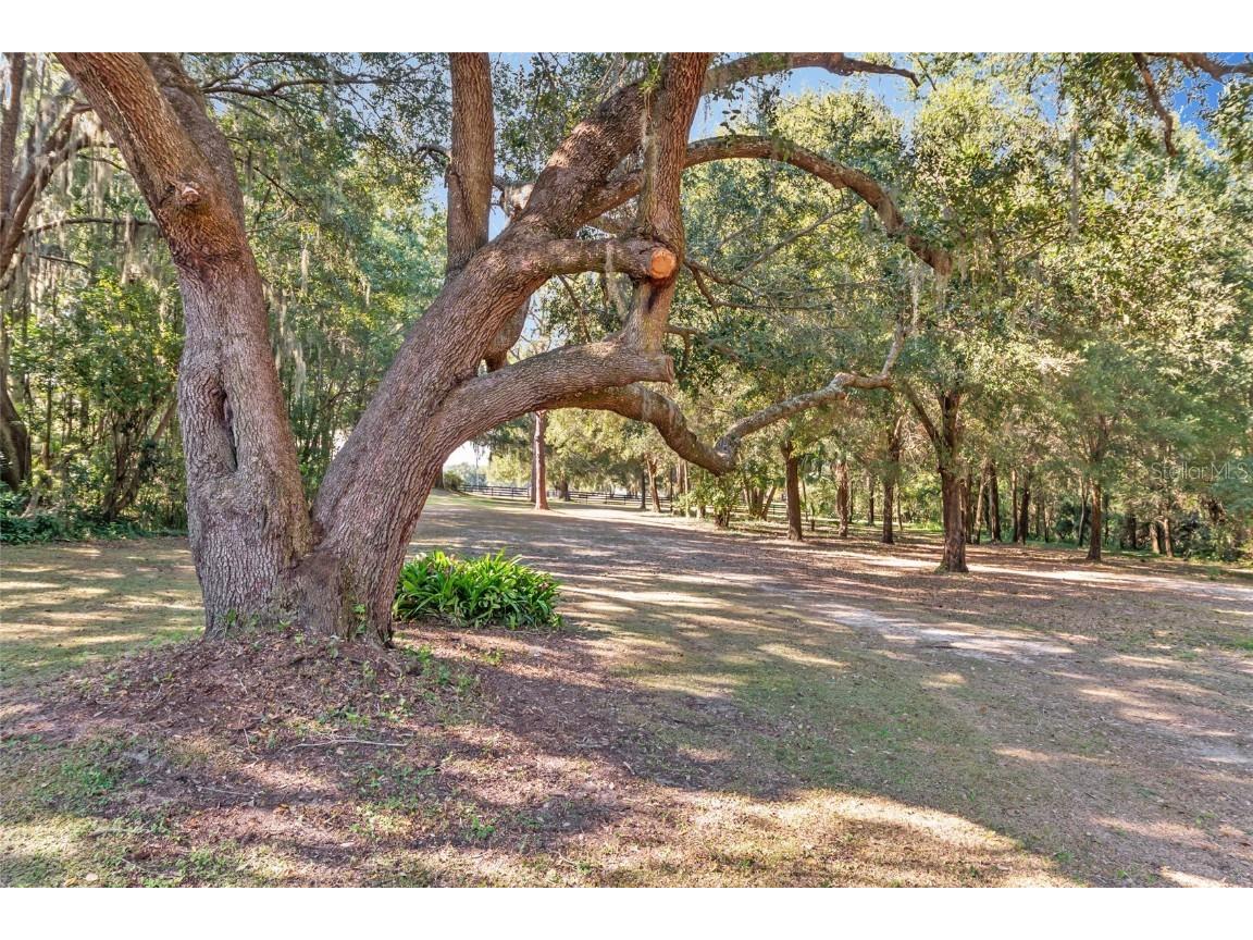 15670 S Highway 25 Weirsdale FL 32195 - LAKE WEIR NEARBY OM714072 image71