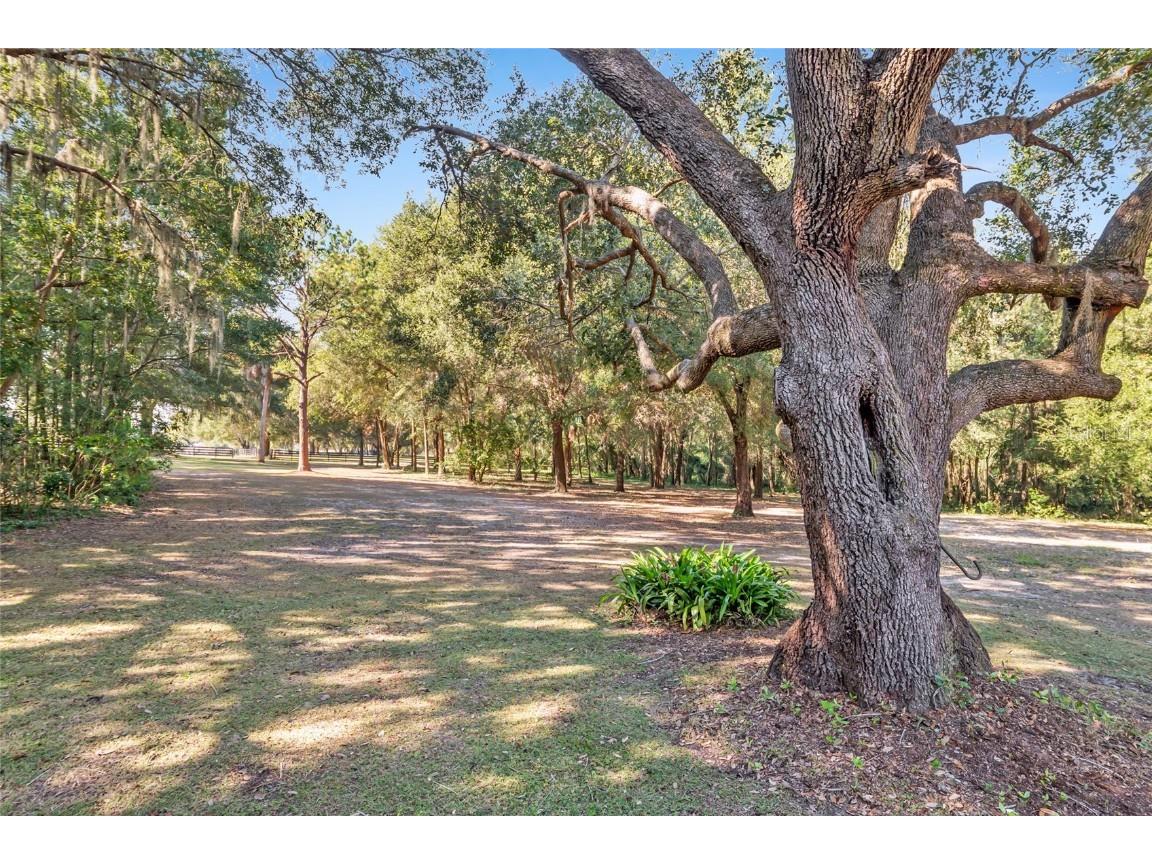 15670 S Highway 25 Weirsdale FL 32195 - LAKE WEIR NEARBY OM714072 image72