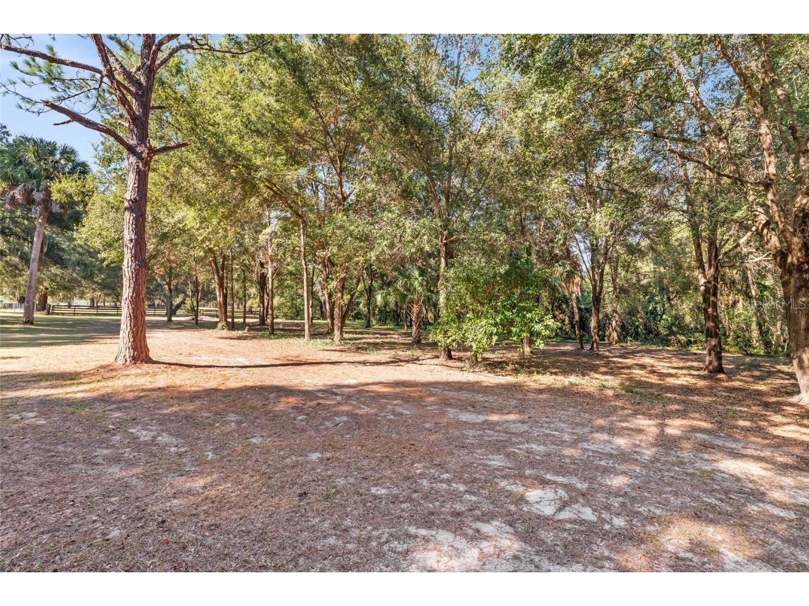 15670 S Highway 25 Weirsdale FL 32195 - LAKE WEIR NEARBY OM714072 image74