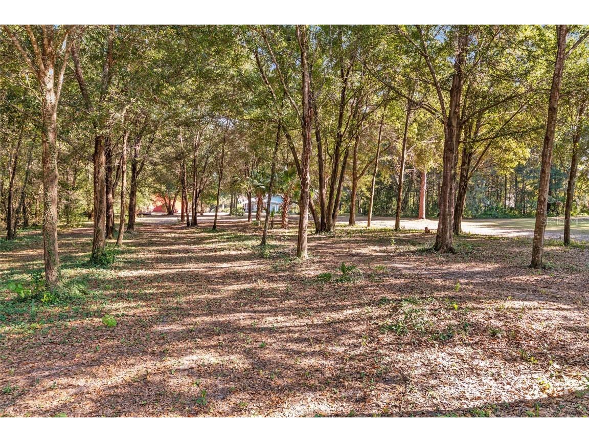 15670 S Highway 25 Weirsdale FL 32195 - LAKE WEIR NEARBY OM714072 image77