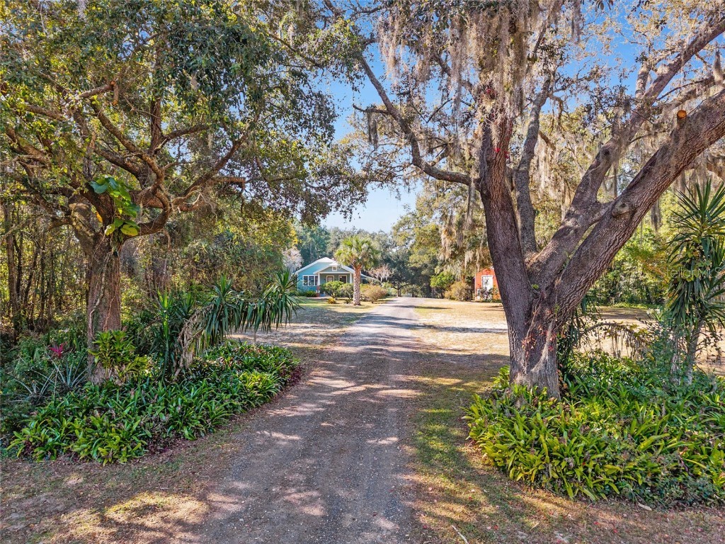 15670 S Highway 25 Weirsdale FL 32195 - LAKE WEIR NEARBY OM714072 image82