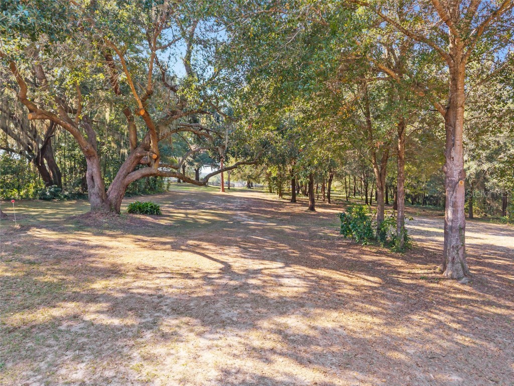 15670 S Highway 25 Weirsdale FL 32195 - LAKE WEIR NEARBY OM714072 image91