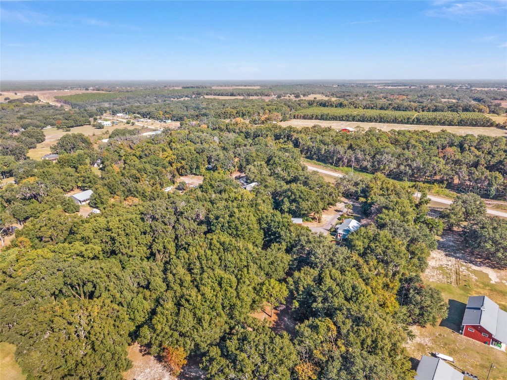 15670 S Highway 25 Weirsdale FL 32195 - LAKE WEIR NEARBY OM714072 image96