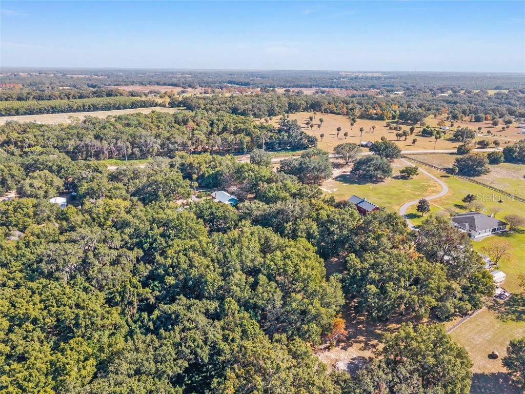 15670 S Highway 25 Weirsdale FL 32195 - LAKE WEIR NEARBY OM714072 image98