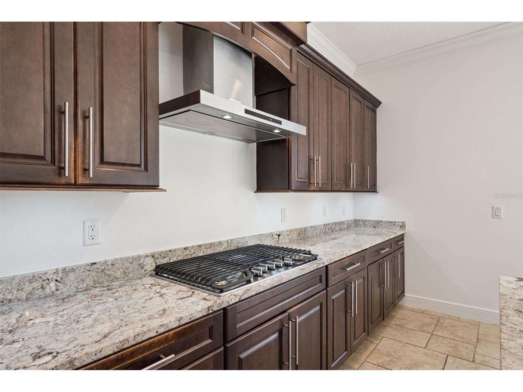 15672 Shorebird Lane Winter Garden FL 34787 - PANTHER LAKE O6375411 image22