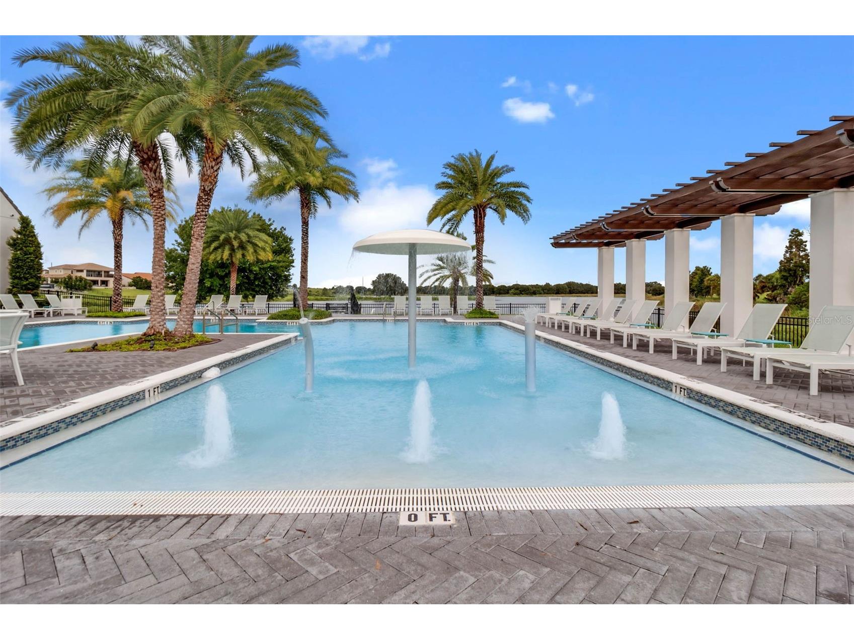 15672 Shorebird Lane Winter Garden FL 34787 - PANTHER LAKE O6375411 image66