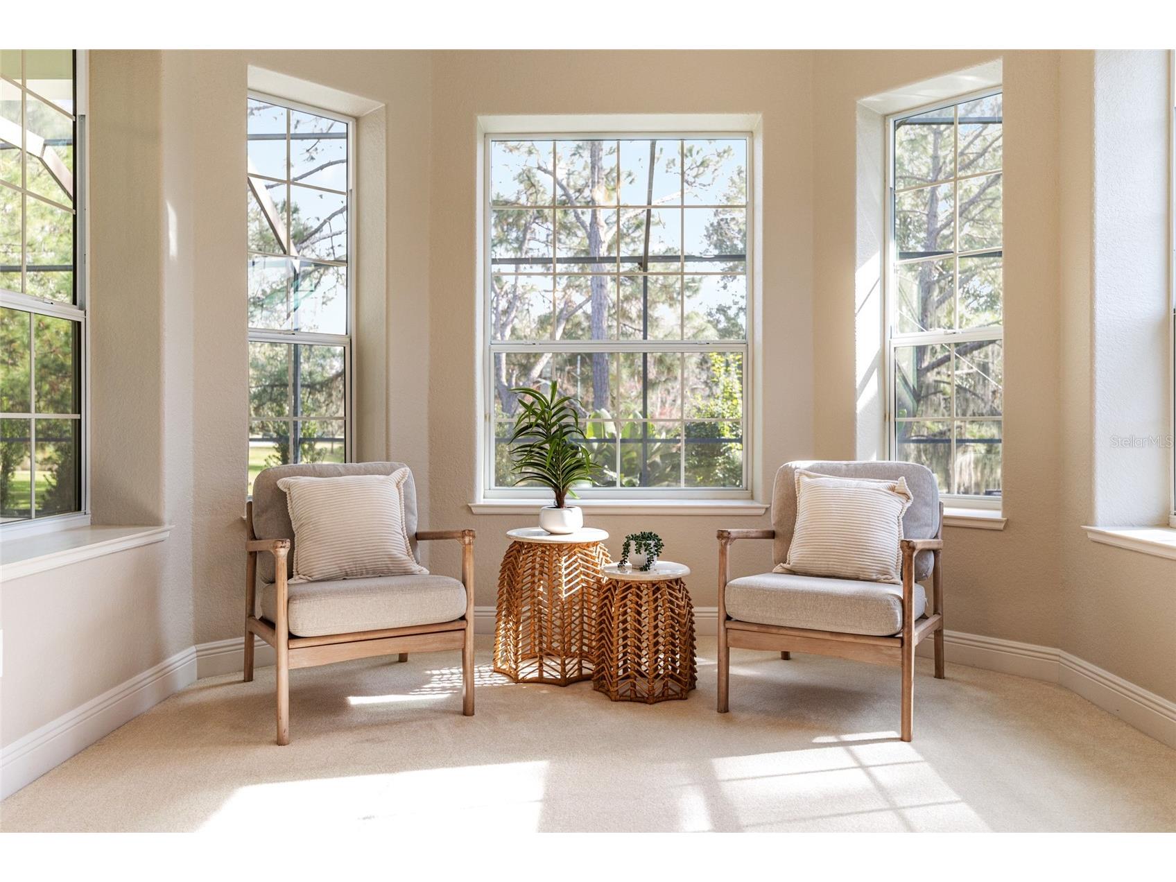1568 Black Lake Drive The Villages FL 32162 G5105802 image31