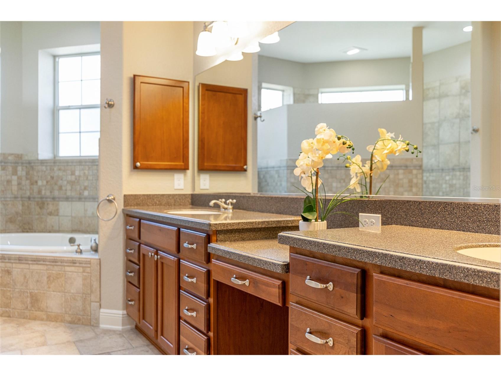 1568 Black Lake Drive The Villages FL 32162 G5105802 image36