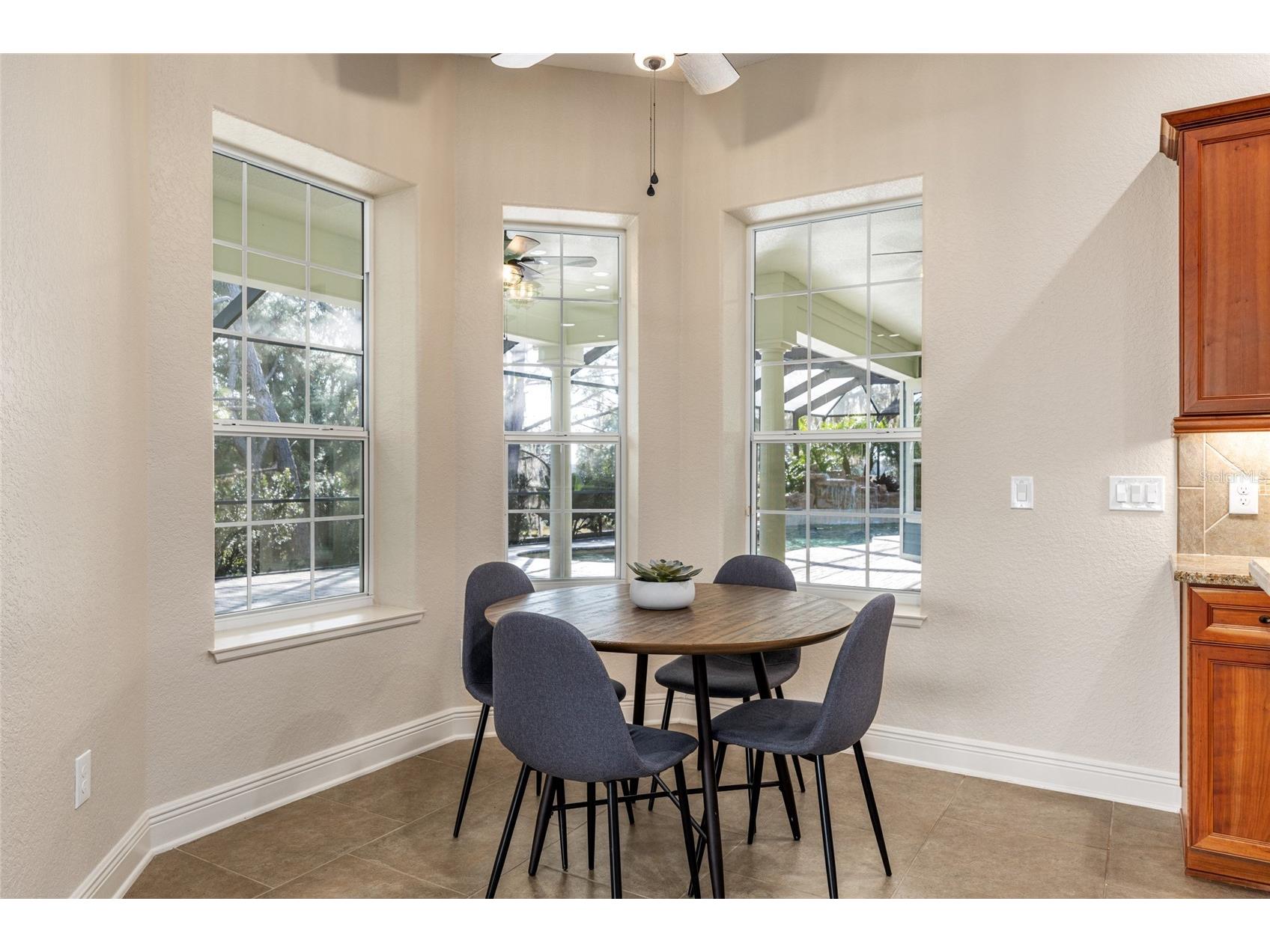 1568 Black Lake Drive The Villages FL 32162 G5105802 image49