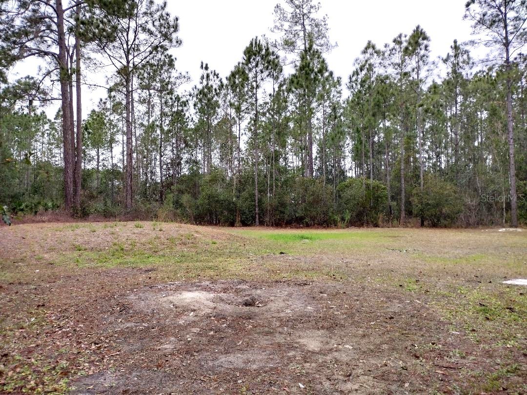 1568 Hazelnut Street Bunnell FL 32110 FC316378 image19