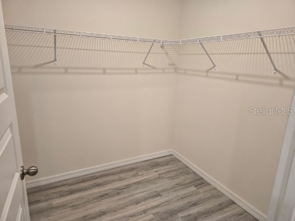 1568 Hummingbird Road Winter Haven FL 33884 O6405552 image15