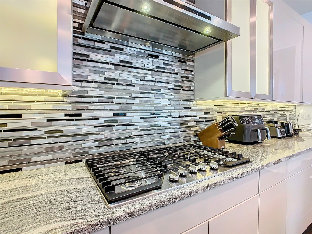 15680 Panther Lake Drive Winter Garden FL 34787 O6210445 image20