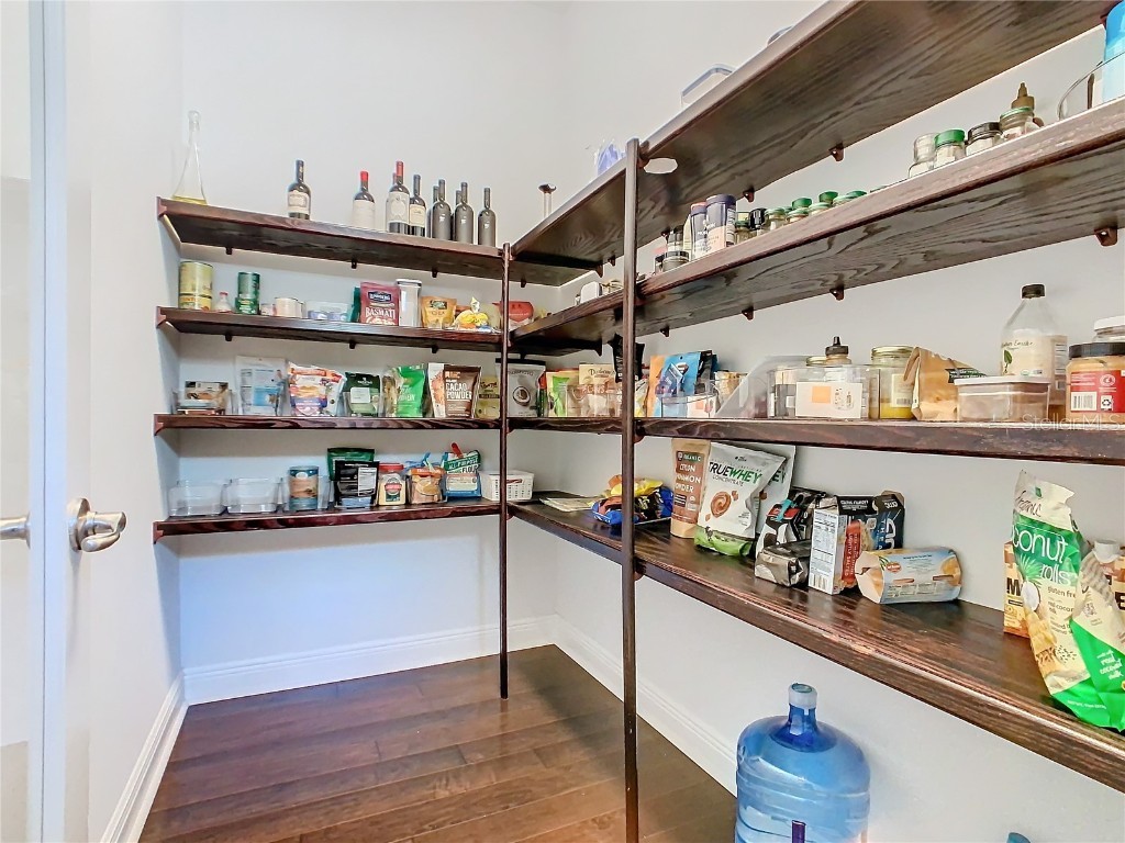 15680 Panther Lake Drive Winter Garden FL 34787 O6210445 image25