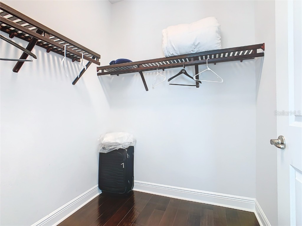 15680 Panther Lake Drive Winter Garden FL 34787 O6210445 image52