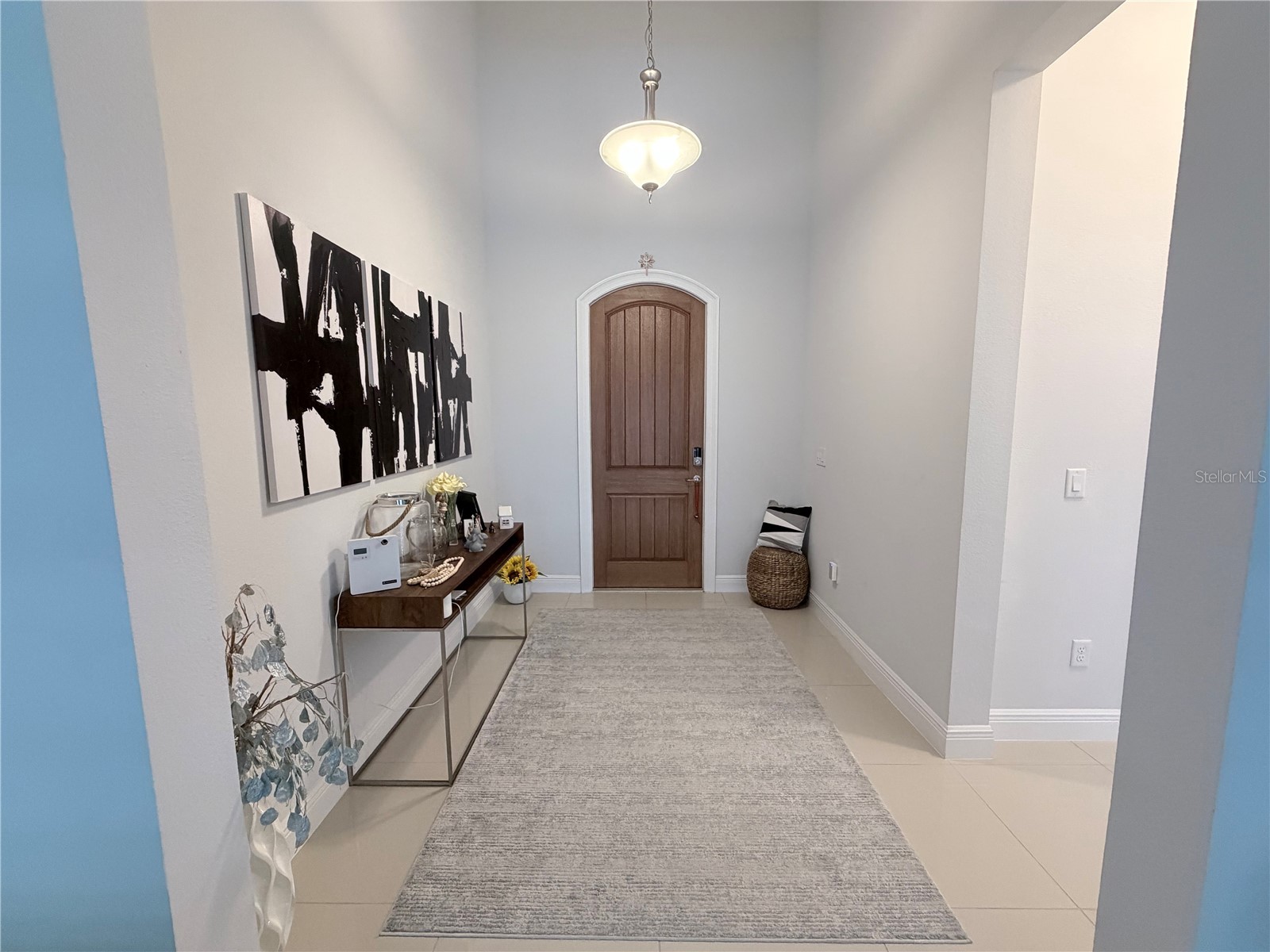15686 Panther Lake Drive Winter Garden FL 34787 O6390015 image2