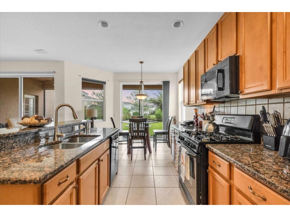 15688 Lemon Fish Drive Lakewood Ranch FL 34202 A4657850 image9