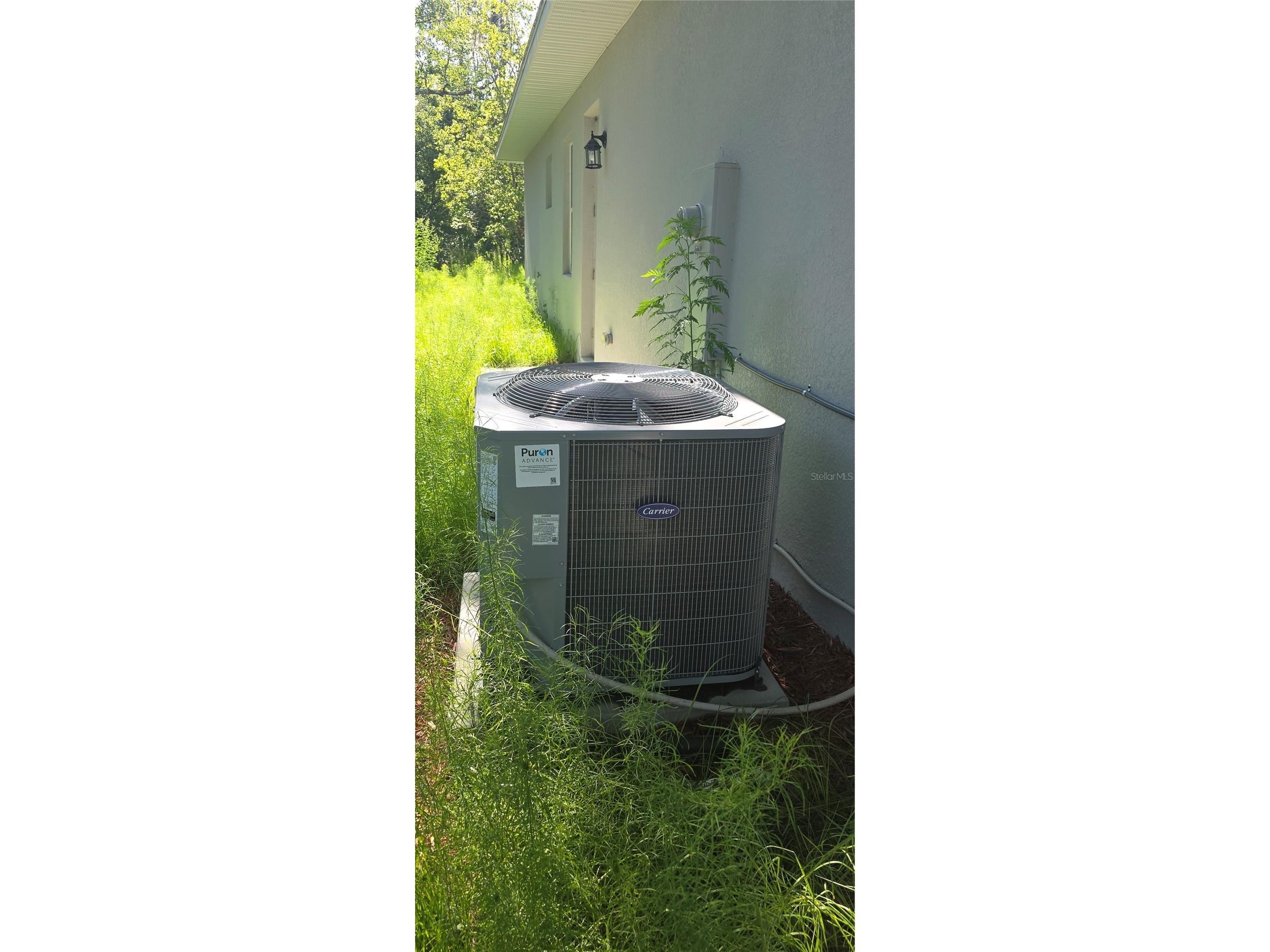1569 9th Avenue Deland FL 32724 O6420218 image24