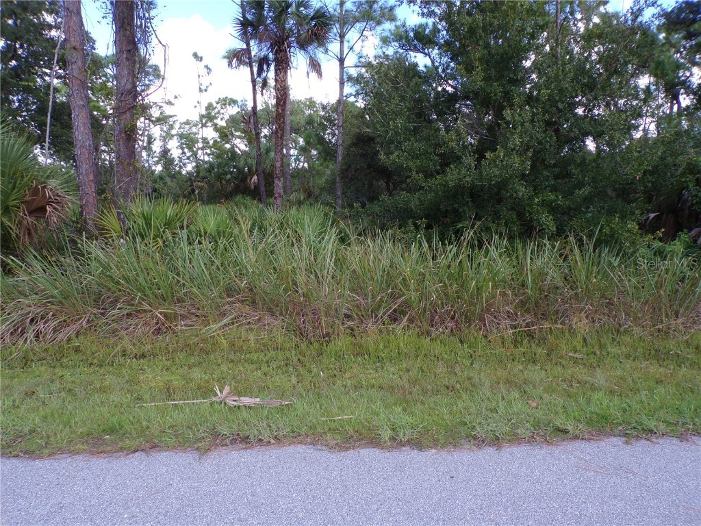 1569 Adalia Terrace Port Charlotte FL 33953 C7498845 image3